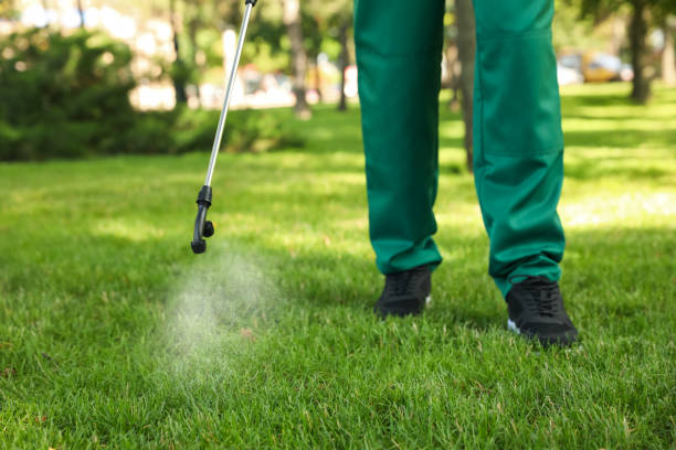 Best Termite Control Services  in Penndel, PA