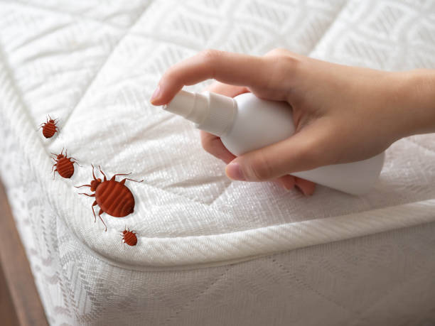 Best Local Pest Control Services  in Penndel, PA